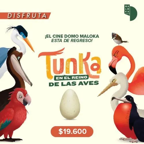 CINE DOMO - TUNKA