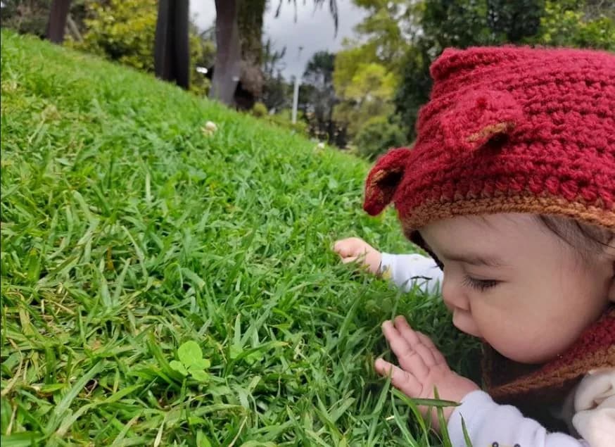 Pequeños Mundos Secretos