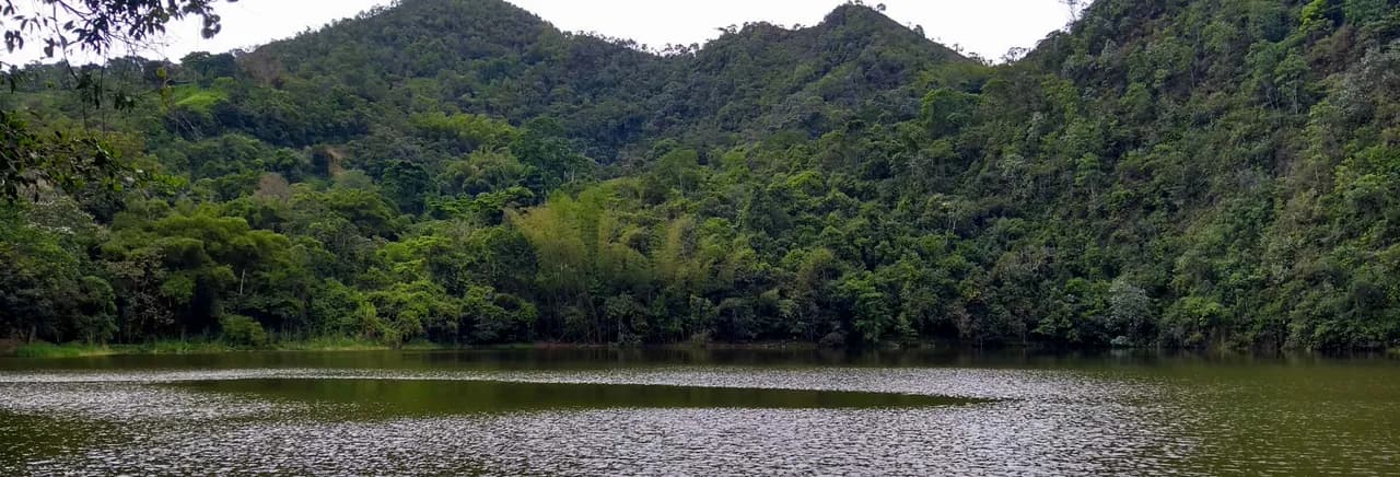Excursión a la laguna El Tabacal + Visita a la finca Gallito Torres