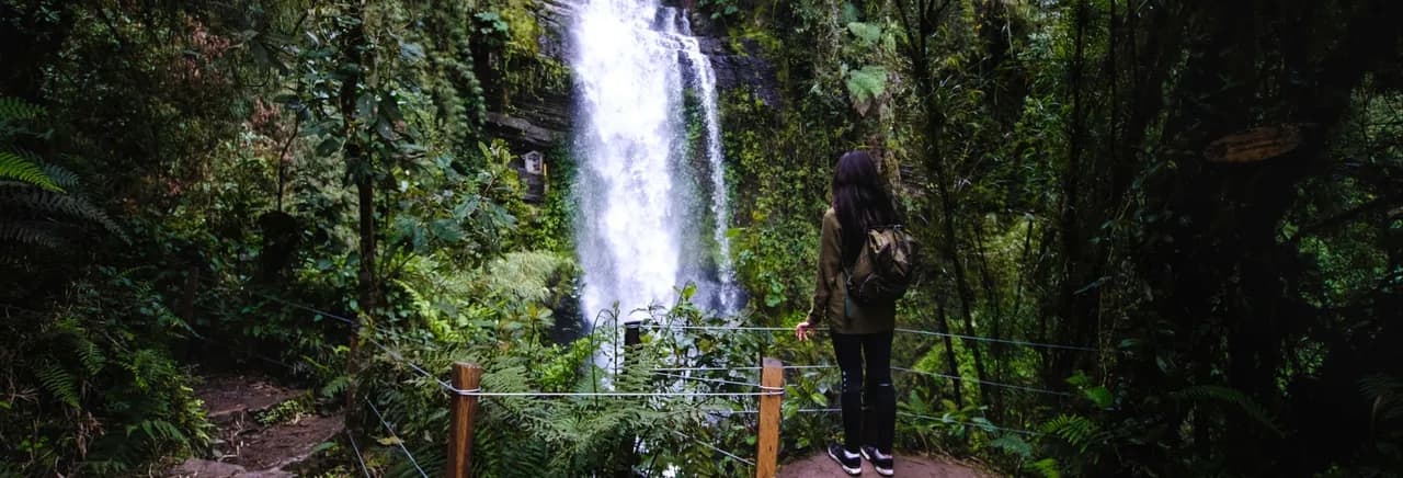 Trekking por el Parque Aventura La Chorrera