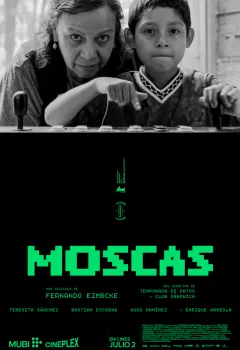 Moscas