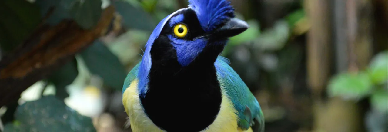 Excursión al Bioparque La Reserva