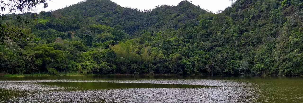 Excursión a la laguna El Tabacal + Visita a la finca Gallito Torres