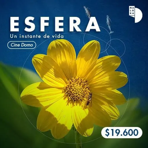 CINE DOMO - ESFERA UN INSTANTE DE VIDA