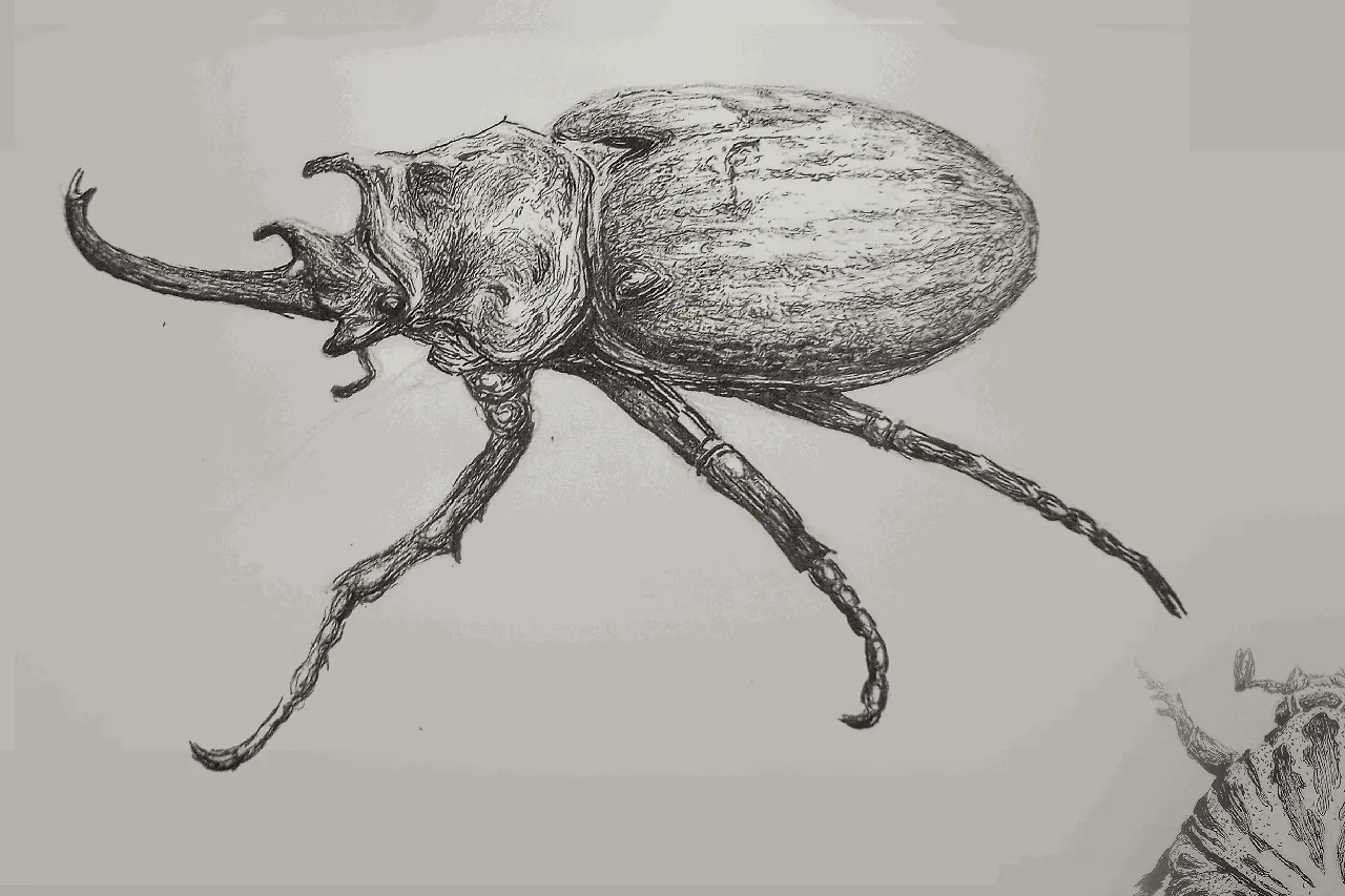 Ilustración científica