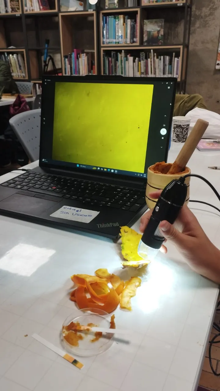 Segundo cerebro: ciencia entre ingredientes