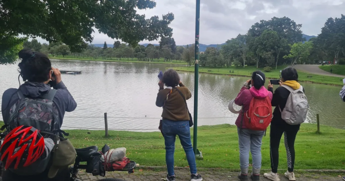 Join in September and October at LabCo around the Birds of the Urban Forest in El Tunal with BibloRed Bogotá