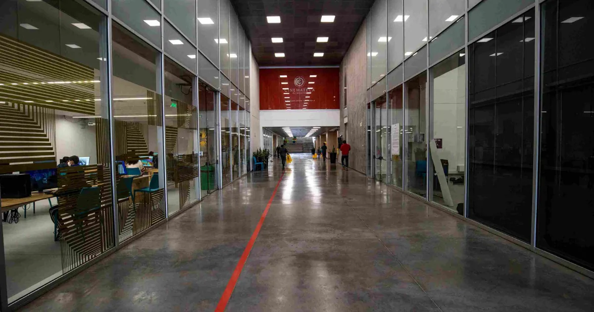 Crea sistemas ancestrales de codificación en la Cinemateca ¡Inscríbete!