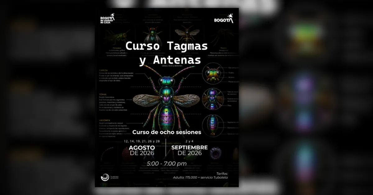 Explora el estudio de 'Tagmas y Antenas' en el Planetario de Bogotá