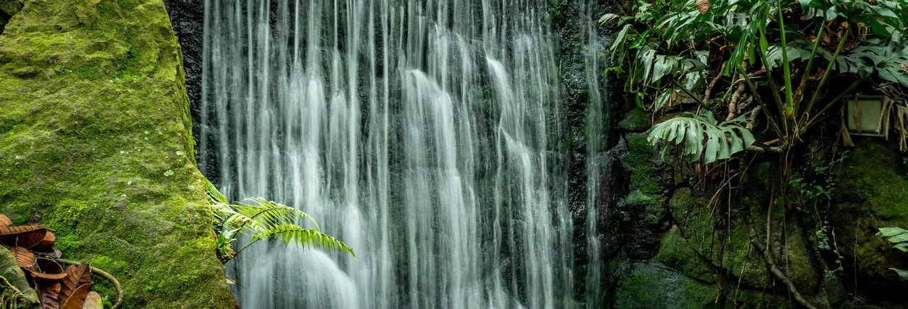 Tour por el Jardín Botánico de Bogotá