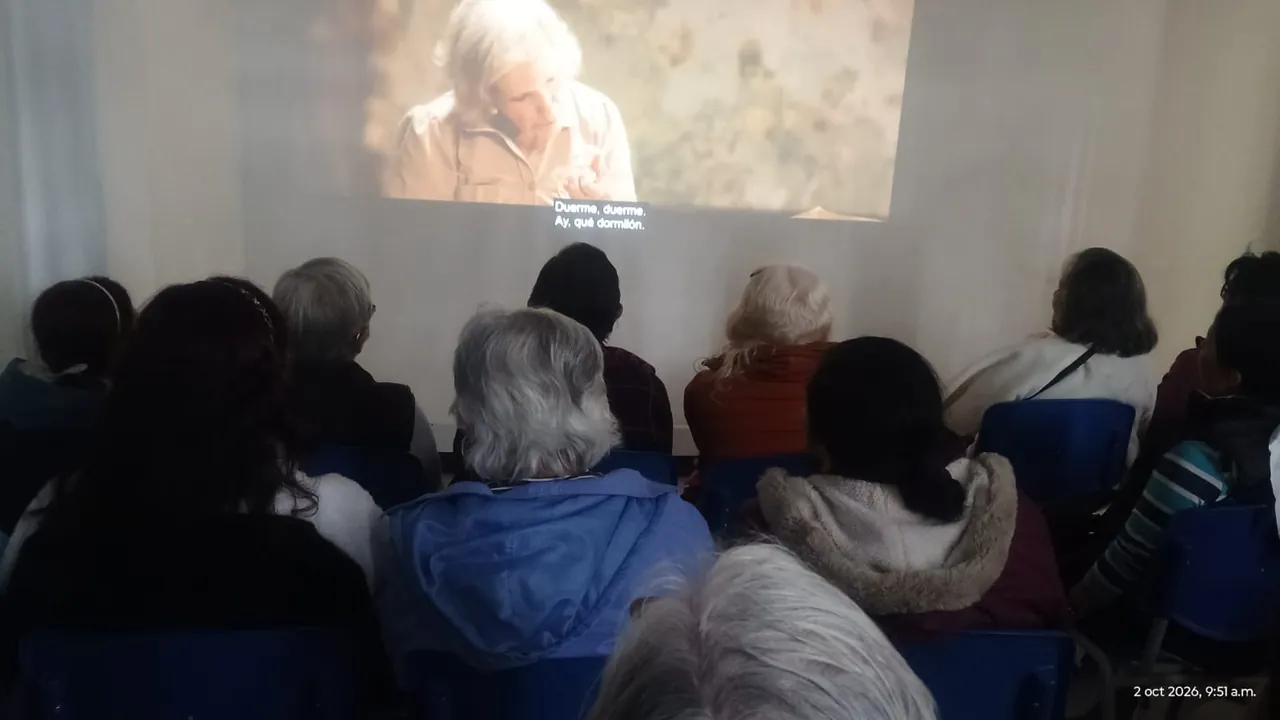 Enjoy an Afternoon of Cinema